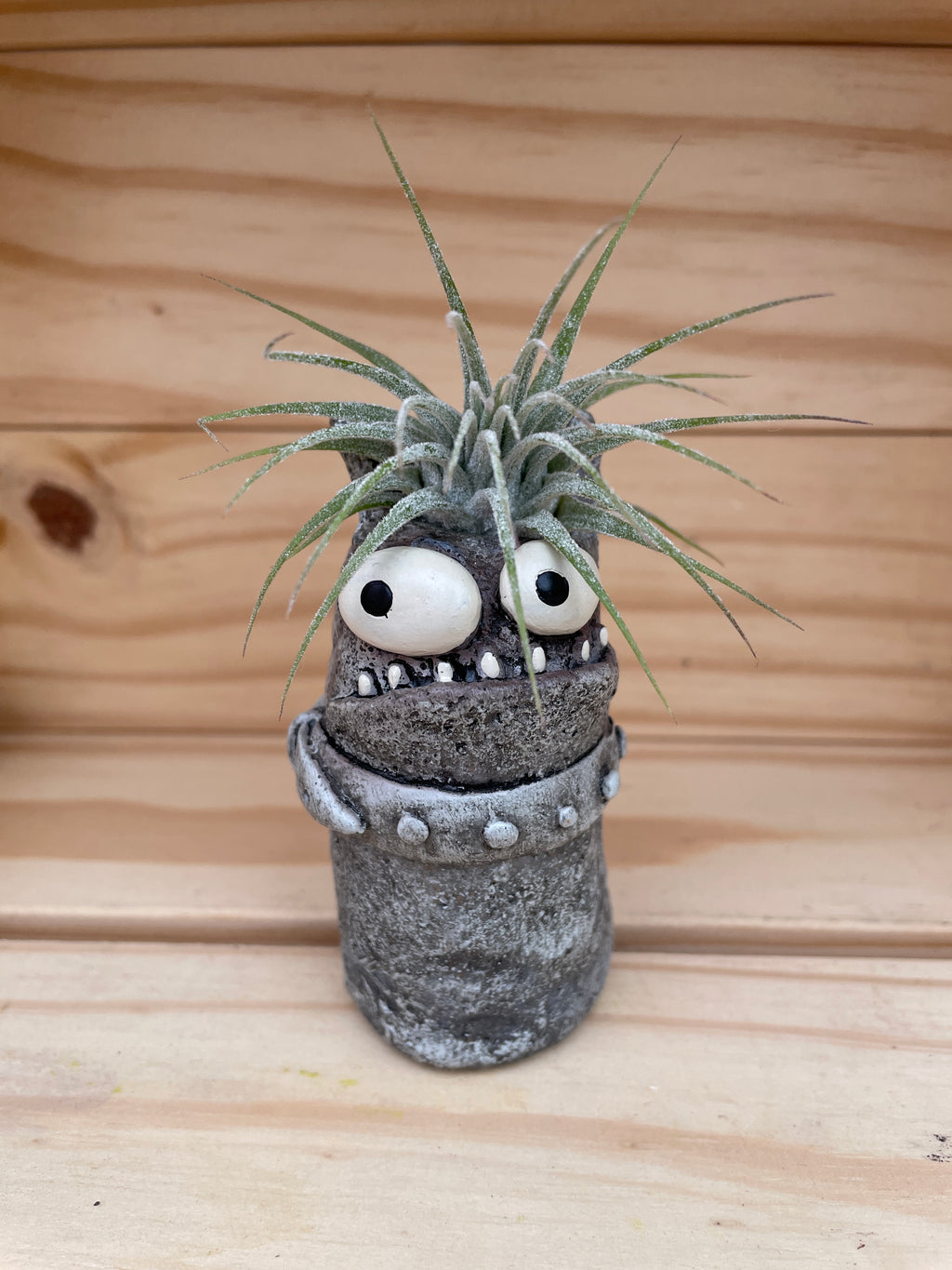 Cutie Monster - "Good Hair Day" with ASSORTED Airplant
