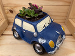 Blue "Beettle" Car Planter /w ASSORTED succulents