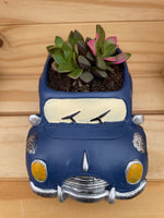 Blue "Beettle" Car Planter /w ASSORTED succulents