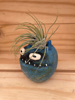 Grumpy Little Blue Monster with ASSORTED Airplant