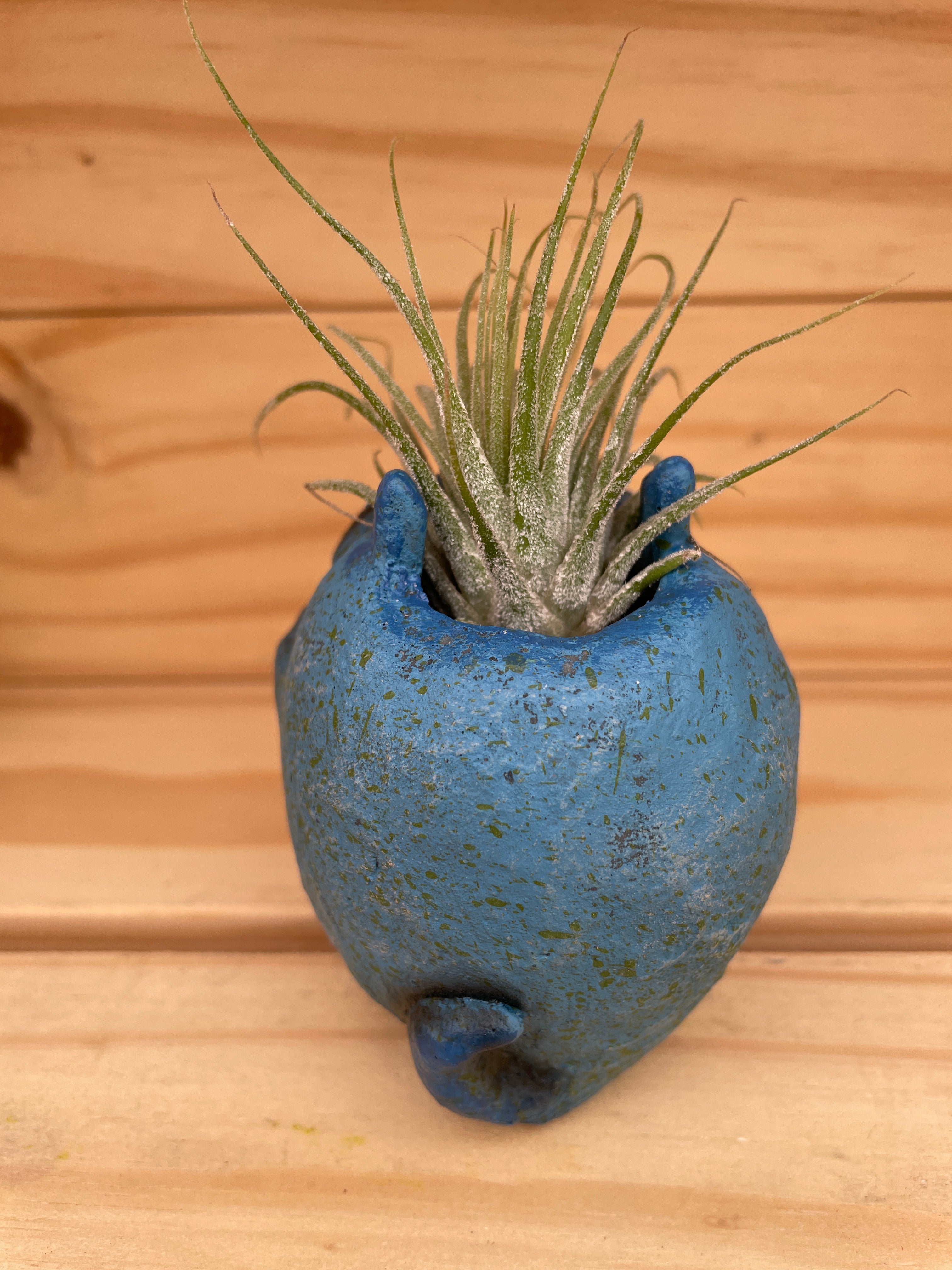 Grumpy Little Blue Monster with ASSORTED Airplant