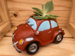 "Red Beetle" with ASSORTED Succulents
